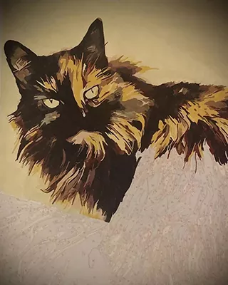 Custom paint by numbers of a fluffy black and brown cat in progress