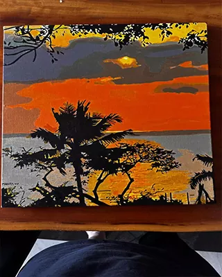 Custom paint by numbers of a tropical sunset with silhouetted palm trees