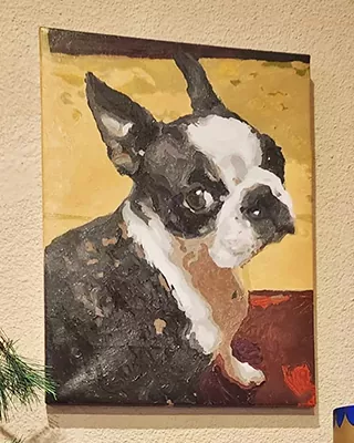 Custom paint by numbers portrait of a Boston Terrier on a yellow background