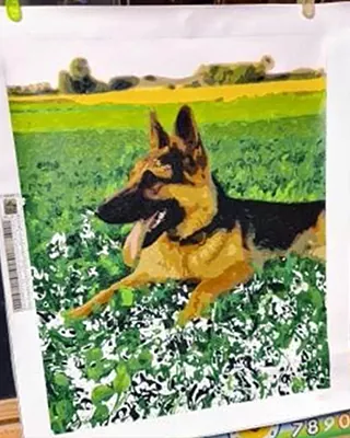 Custom paint by numbers portrait of a German Shepherd running through a green field