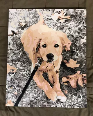 Custom paint by numbers portrait of a Golden Retriever puppy lying on a woodland trail
