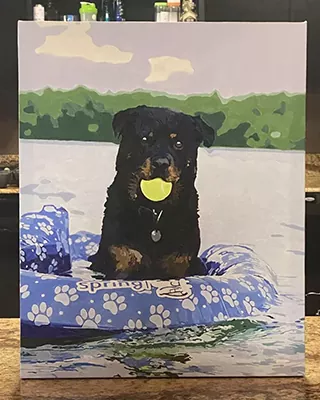 Custom paint by numbers portrait of a Rottweiler holding a tennis ball on a floating dog bed