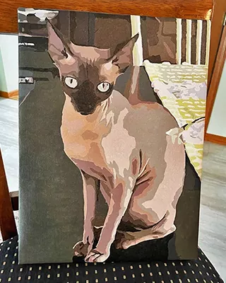 Custom paint by numbers portrait of a Siamese cat sitting indoors