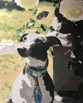 Custom paint by numbers portrait of a black and white dog looking up at white flowers