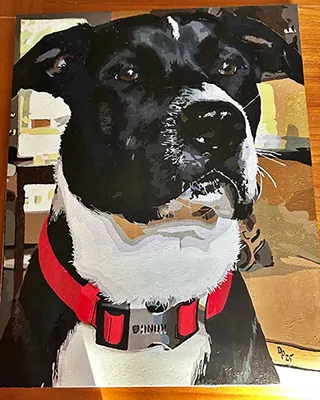 Custom paint by numbers portrait of a black and white dog wearing a red collar