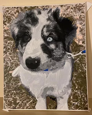 Custom paint by numbers portrait of a black and white puppy