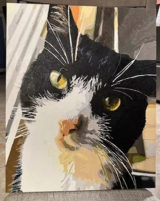Custom paint by numbers portrait of a black and white tuxedo cat in close-up
