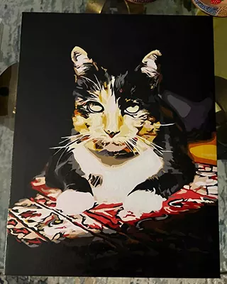 Custom paint by numbers portrait of a black and white tuxedo cat resting on a patterned blanket