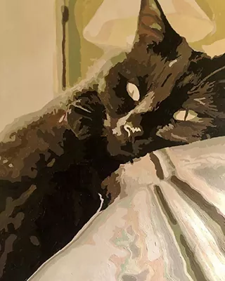 Custom paint by numbers portrait of a black cat resting on a bed