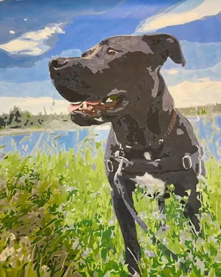 Custom paint by numbers portrait of a black dog standing beside a lakeside meadow