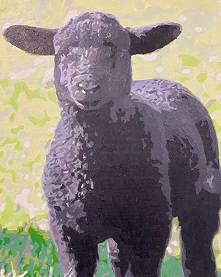 Custom paint by numbers portrait of a black lamb standing in a grassy field