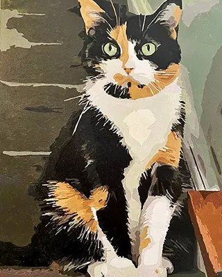 Custom paint by numbers portrait of a calico cat with bright green eyes