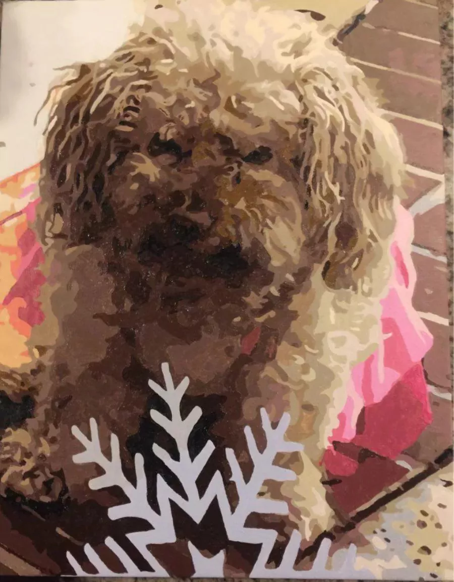 Custom paint by numbers portrait of a curly-haired brown dog