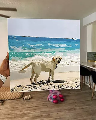 Custom paint by numbers portrait of a dog standing on a sunny beach