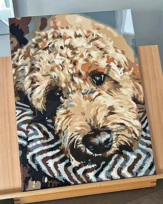 Custom paint by numbers portrait of a fluffy Goldendoodle resting on a patterned blanket