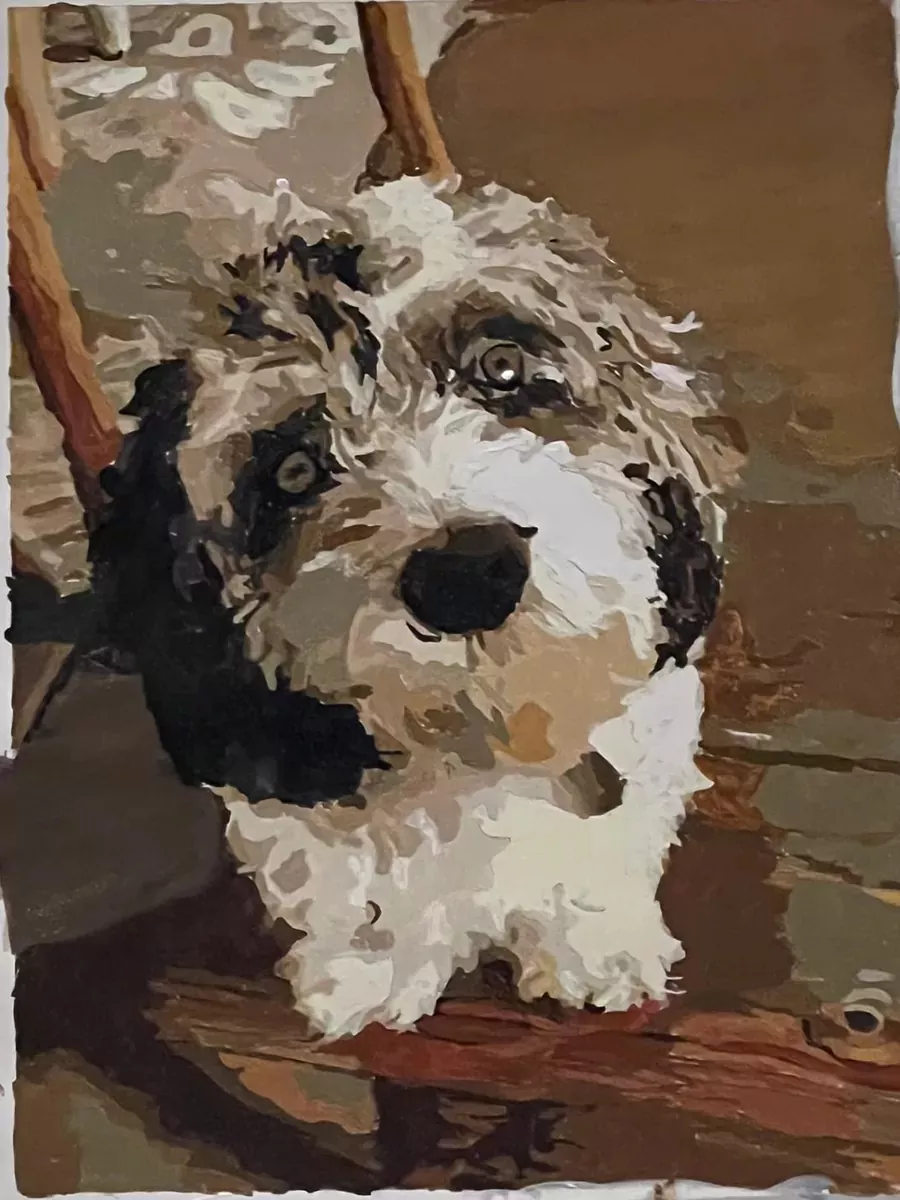 Custom paint by numbers portrait of a fluffy black and white dog