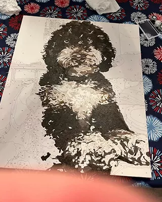 Custom paint by numbers portrait of a fluffy black and white doodle dog