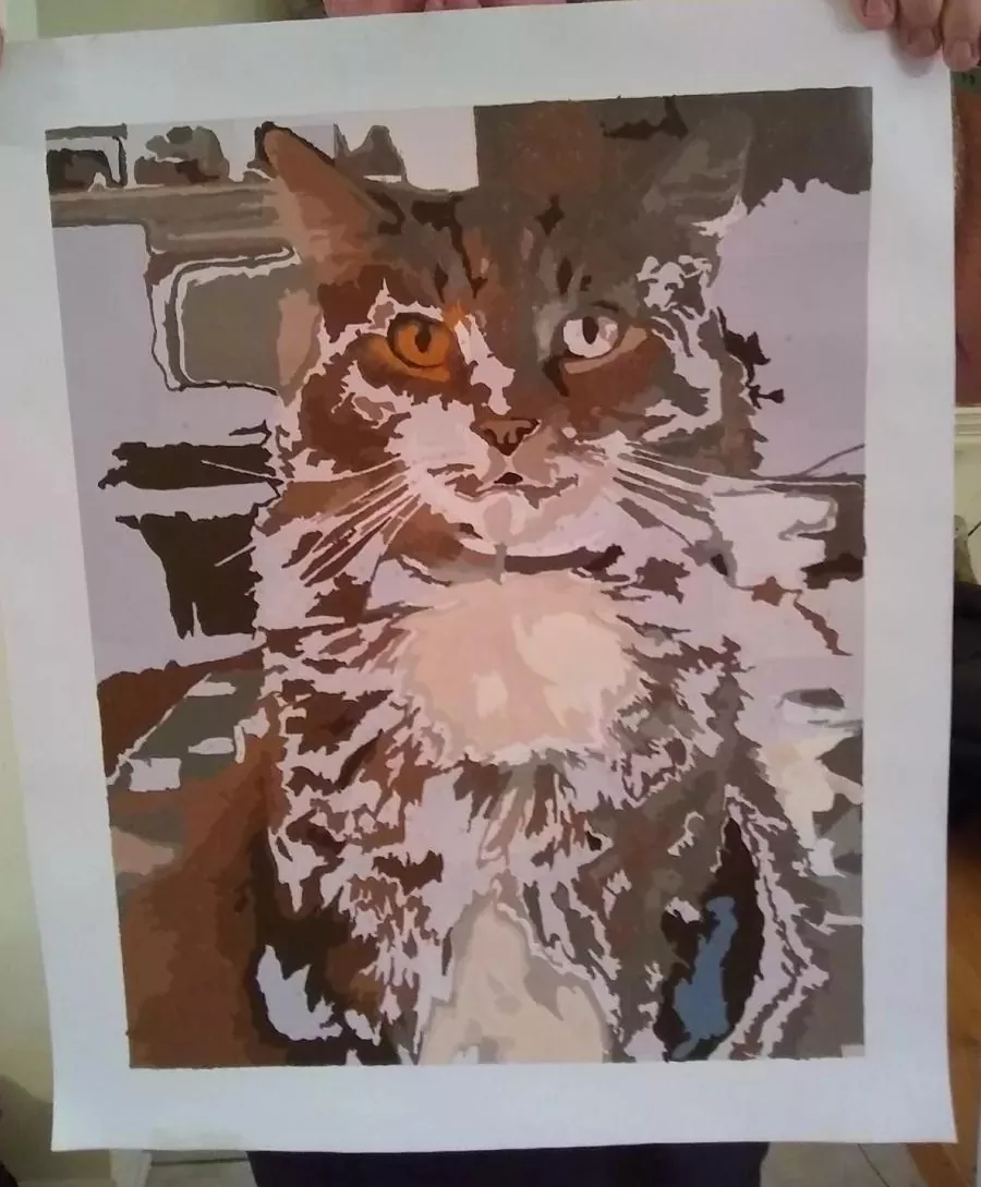 Custom paint by numbers portrait of a fluffy cat with striking eyes