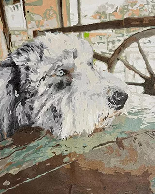 Custom paint by numbers portrait of a fluffy gray dog resting its head on a rustic wooden bench