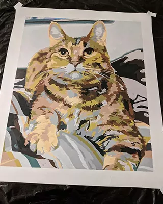 Custom paint by numbers portrait of a fluffy orange tabby cat resting comfortably