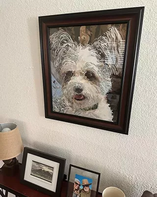 Custom paint by numbers portrait of a fluffy white dog displayed in a dark wooden frame