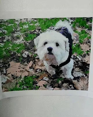 Custom paint by numbers portrait of a fluffy white dog exploring a leafy forest