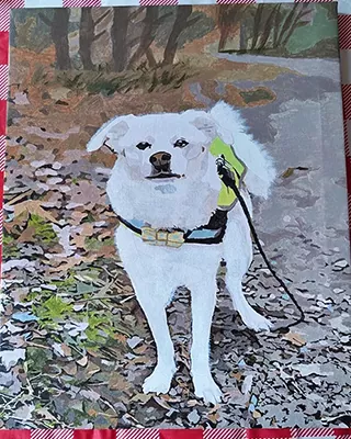 Custom paint by numbers portrait of a fluffy white dog standing on a woodland trail