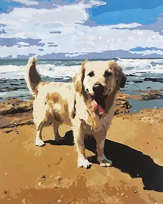 Custom paint by numbers portrait of a golden retriever enjoying a day at the beach.