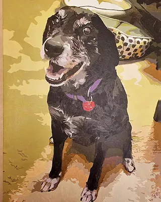 Custom paint by numbers portrait of a happy black dog with gray markings wearing a purple collar