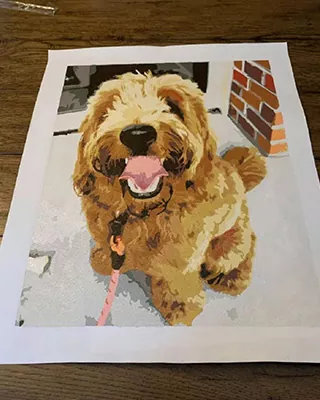 Custom paint by numbers portrait of a happy fluffy dog with its tongue out.