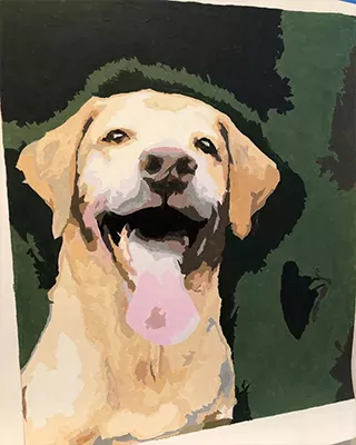 Custom paint by numbers portrait of a happy yellow Labrador with its tongue out
