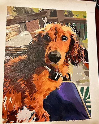 Custom paint by numbers portrait of a long haired dachshund with a rich red and black coat