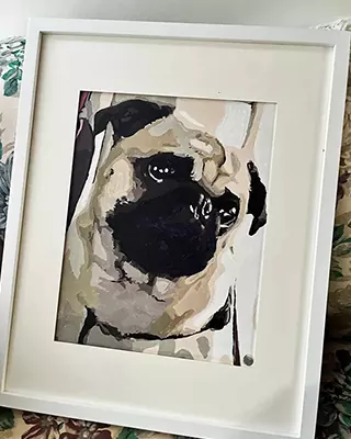 Custom paint by numbers portrait of a pug displayed in a white frame