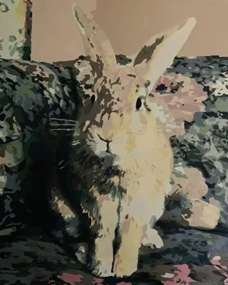 Custom paint by numbers portrait of a rabbit sitting on a patterned blanket