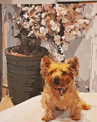 Custom paint by numbers portrait of a small Yorkshire Terrier sitting beside a flowering plant