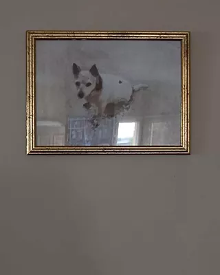 Custom paint by numbers portrait of a small white dog displayed in a gold frame