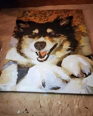 Custom paint by numbers portrait of a smiling black and white fluffy dog