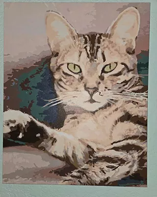 Custom paint by numbers portrait of a tabby cat with striking green eyes