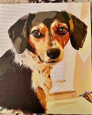 Custom paint by numbers portrait of a tricolor dog with expressive eyes
