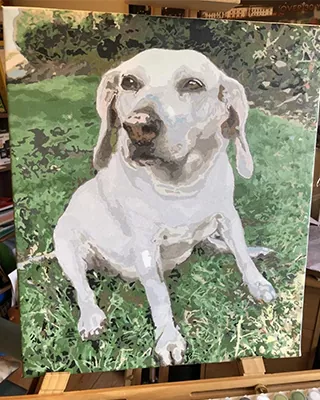 Custom paint by numbers portrait of a white Labrador sitting on green grass