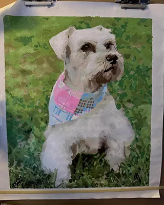 Custom paint by numbers portrait of a white Schnauzer wearing a colorful bandana
