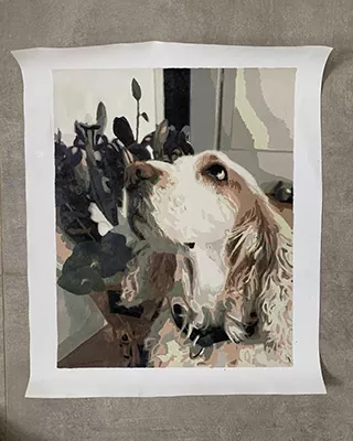 Custom paint by numbers portrait of a white and brown dog looking upward beside houseplants