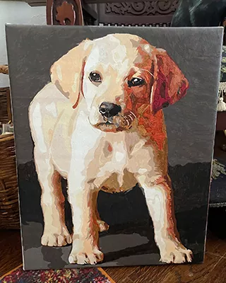 Custom paint by numbers portrait of a white dog