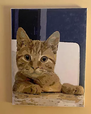 Custom paint by numbers portrait of a wide eyed tabby cat