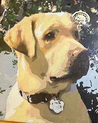 Custom paint by numbers portrait of a yellow Labrador with a personalized collar tag