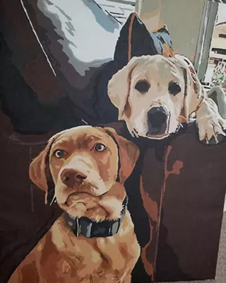 Custom paint by numbers portrait of two Labrador puppies relaxing together on a sofa