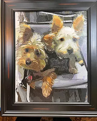 Custom paint by numbers portrait of two Yorkshire Terriers sitting together