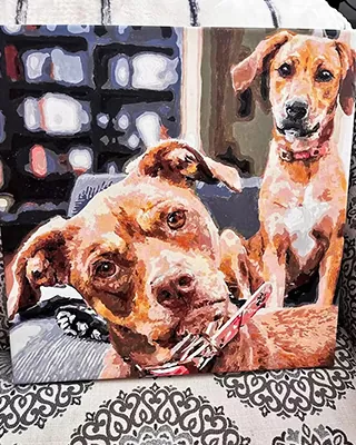 Custom paint by numbers portrait of two beloved dogs captured in a cozy home setting