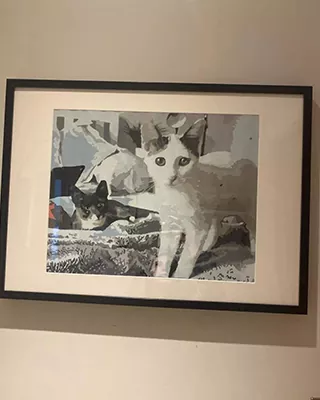 Custom paint by numbers portrait of two cats displayed in a black frame