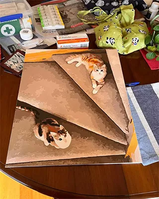 Custom paint by numbers portrait of two cats relaxing on a staircase